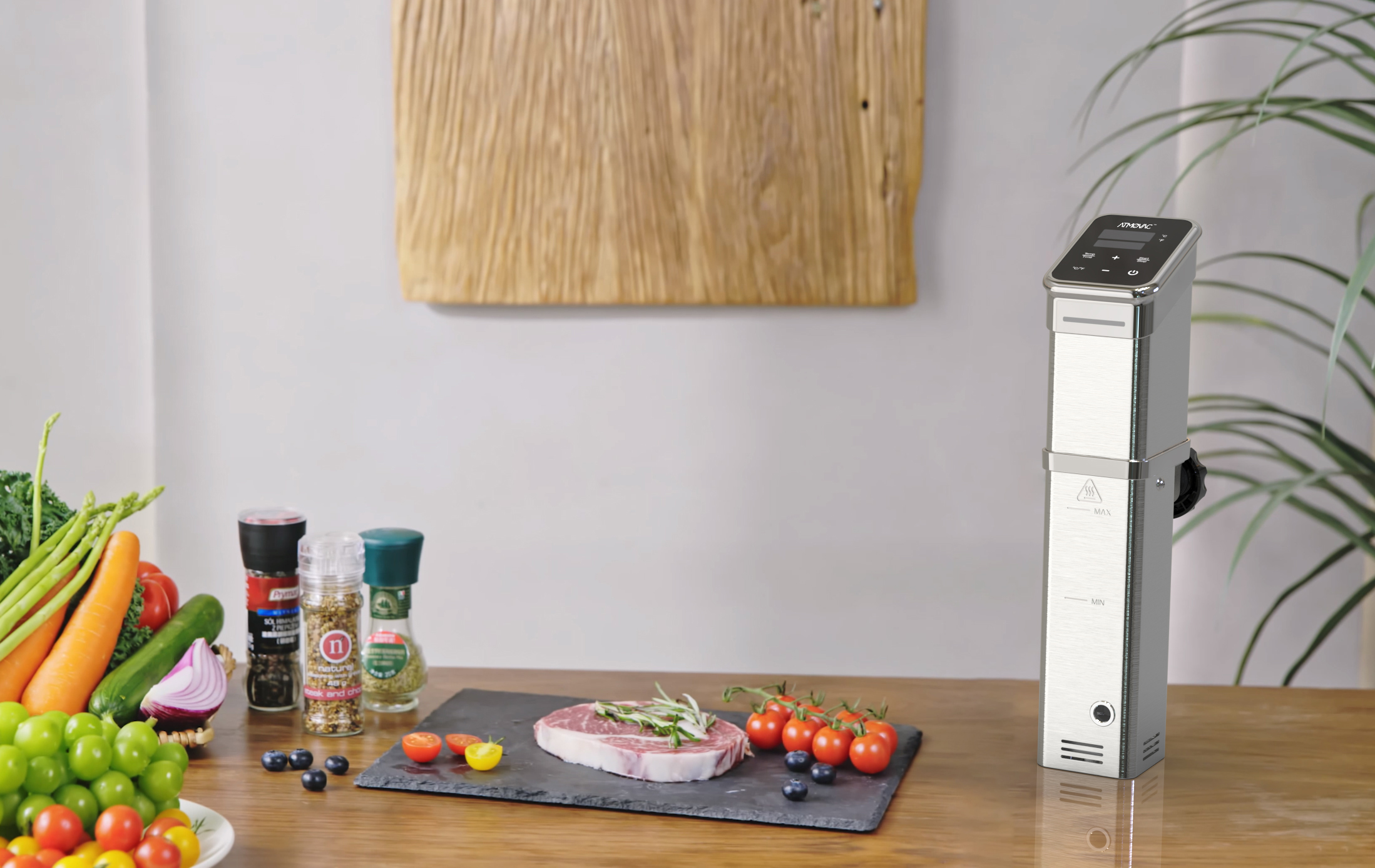 THERMO CIRCULATOR 120V - Image 4